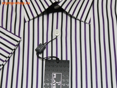 Сорочка мужская Platin (фото, вид 2)